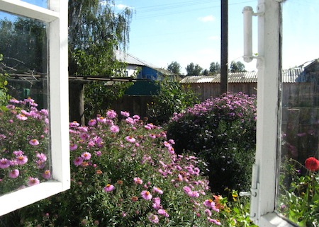 The open window in a summer garden