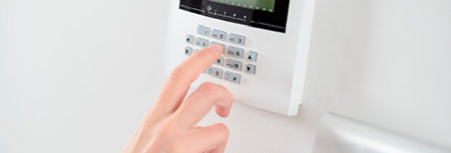 Person Setting a Burglar Alarm